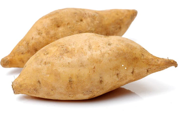 Sweet Potato - white