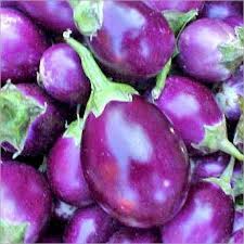 Indian Brinjal / Baingan / Aubergine