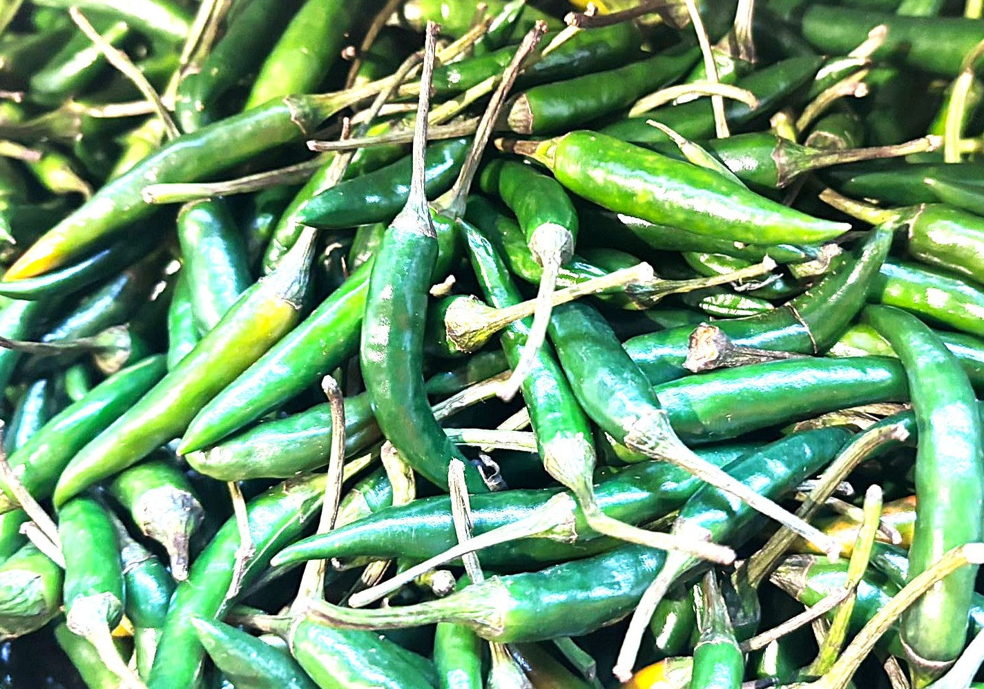 Green Chilli