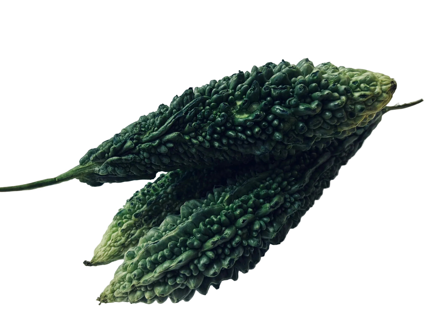 Bitter gourd / Karela