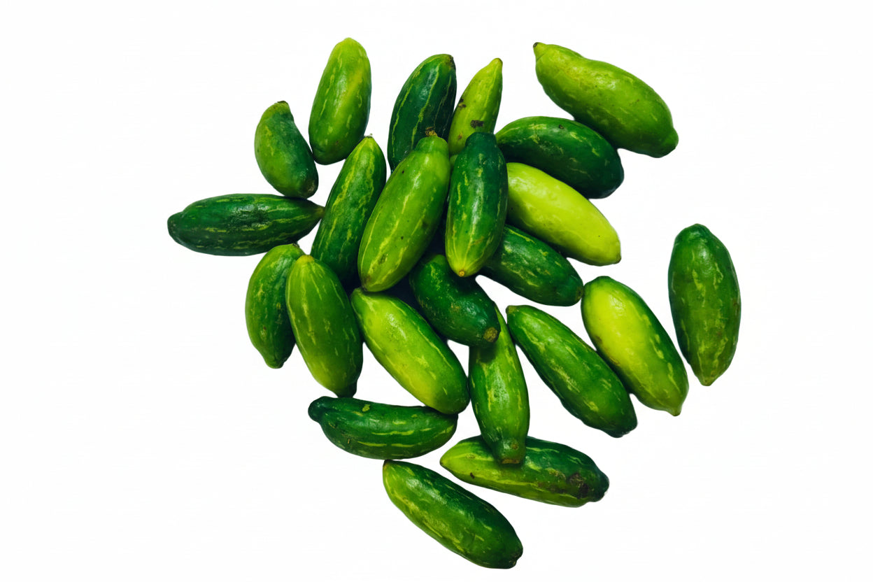 Tindora / Kovakkai / Ivy gourd
