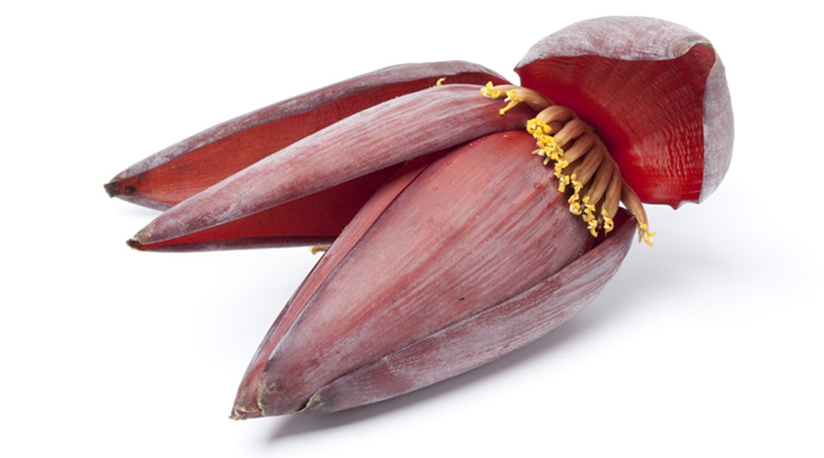 bananenpflanze banane blüte Bananenblüte – Hindusthan Supermart