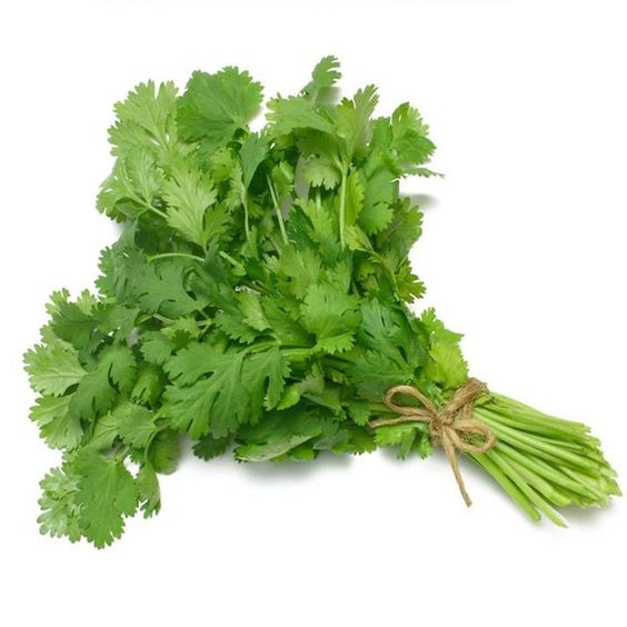 Fresh Coriander leaves - 1 bunch