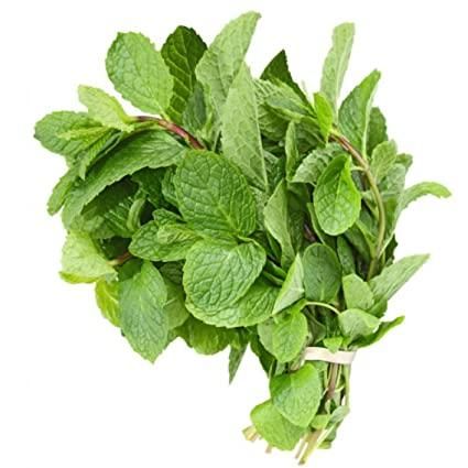 Mint leaves - 1 bunch (only Hamburg)