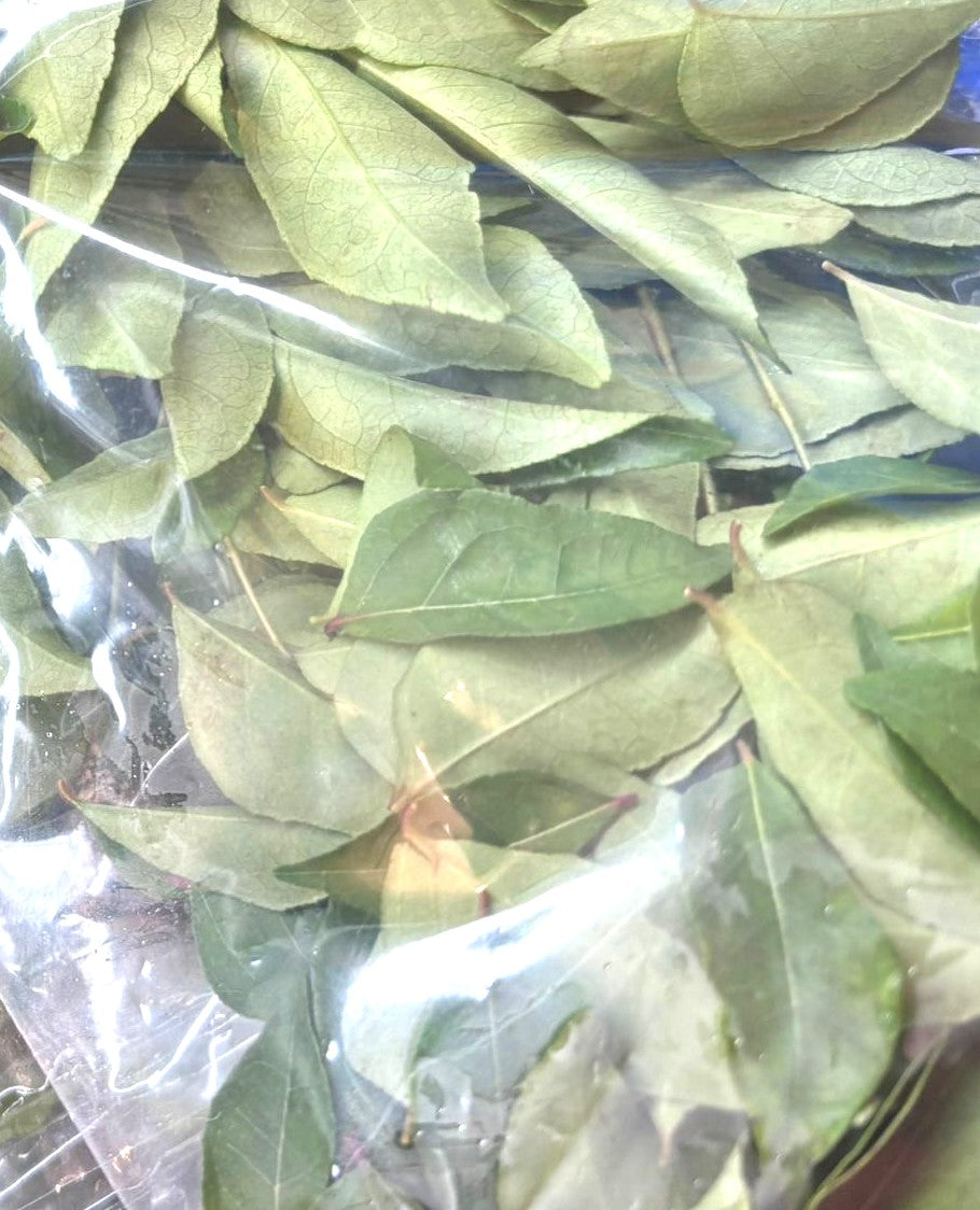Curry Leaves - Fresh 1 Pkt