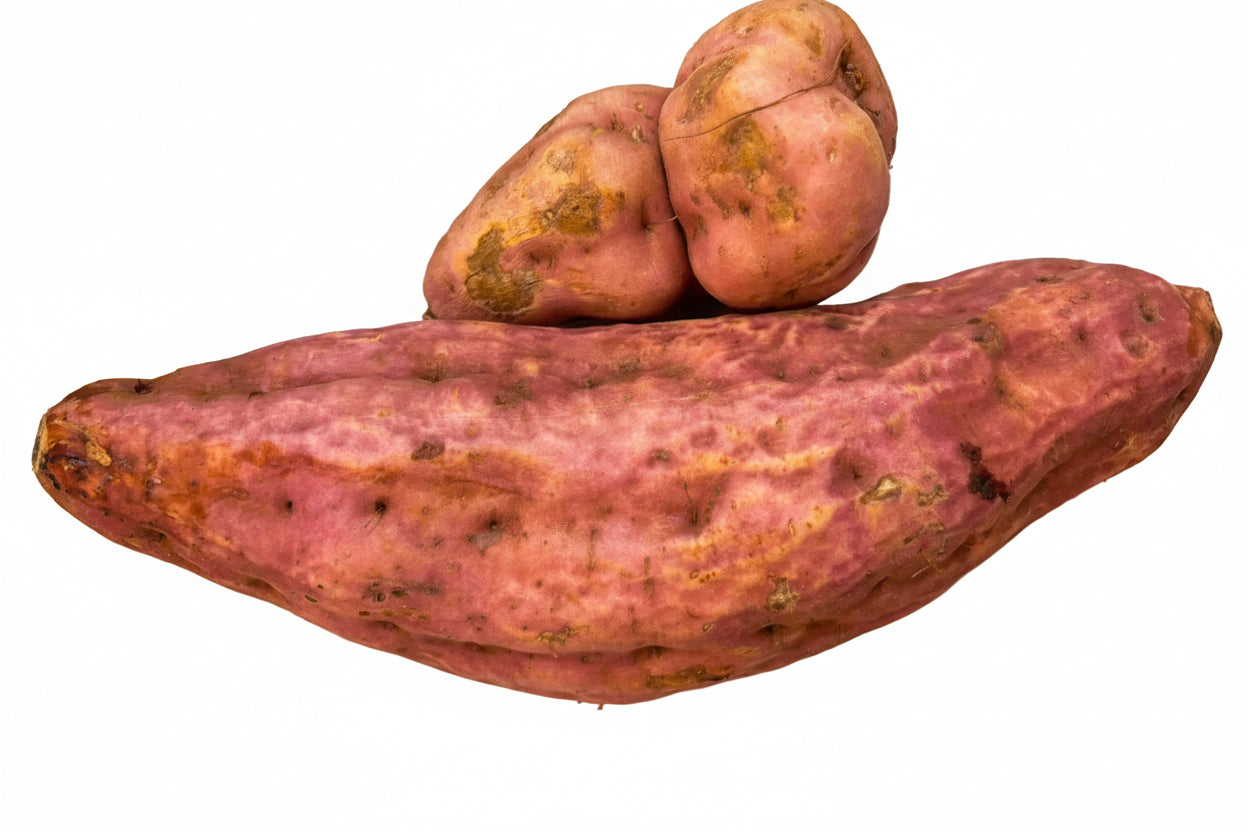 Sweet Potato - Red