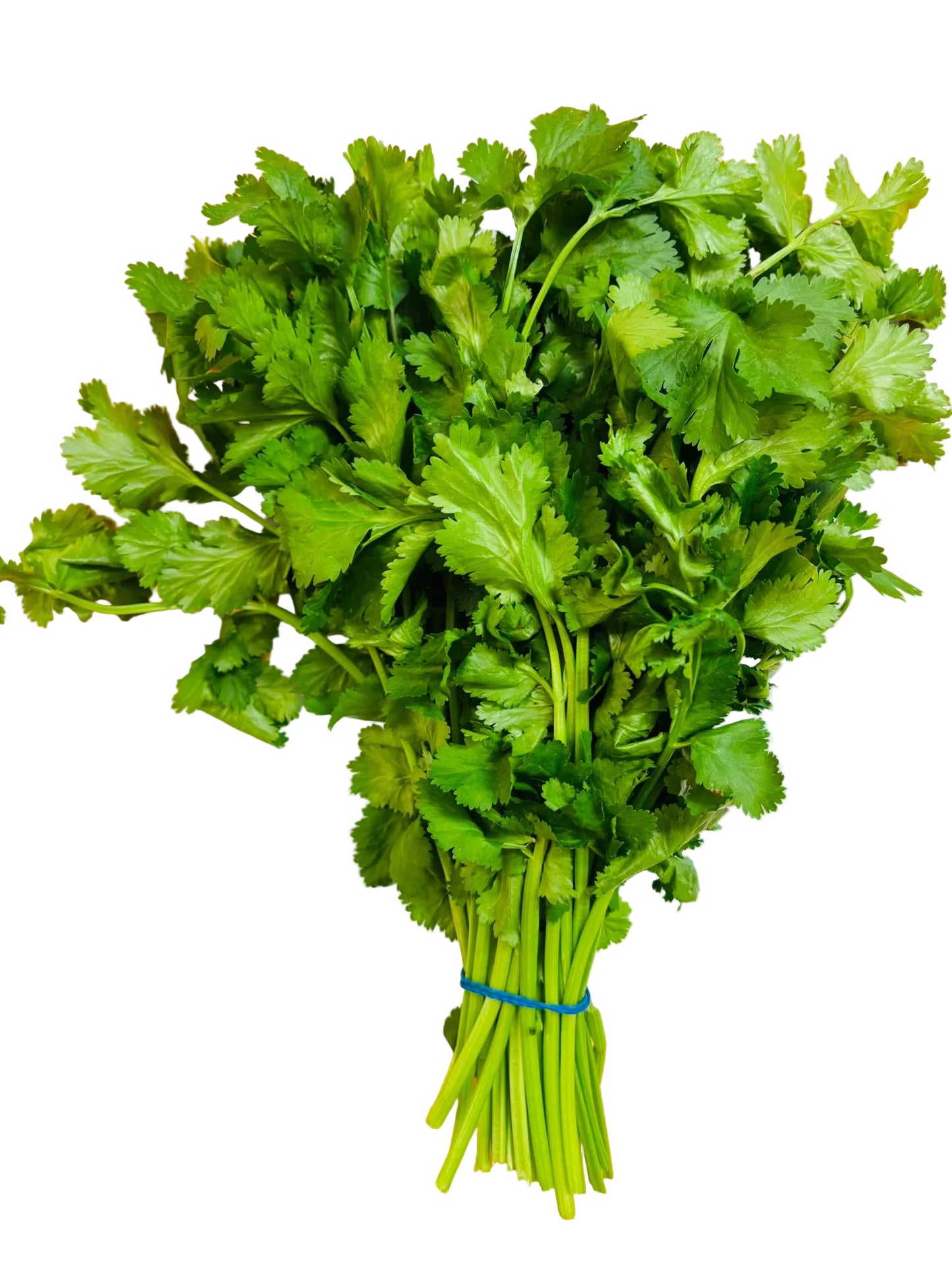 Coriander leaves - 1 bunch