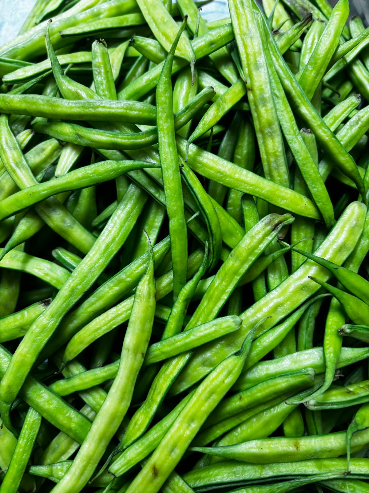 Guwar / Cluster beans