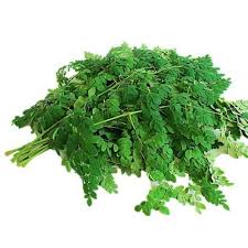 Drumstick leaves 1 bunch