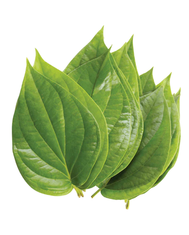 Betel Leaves 6pcs
